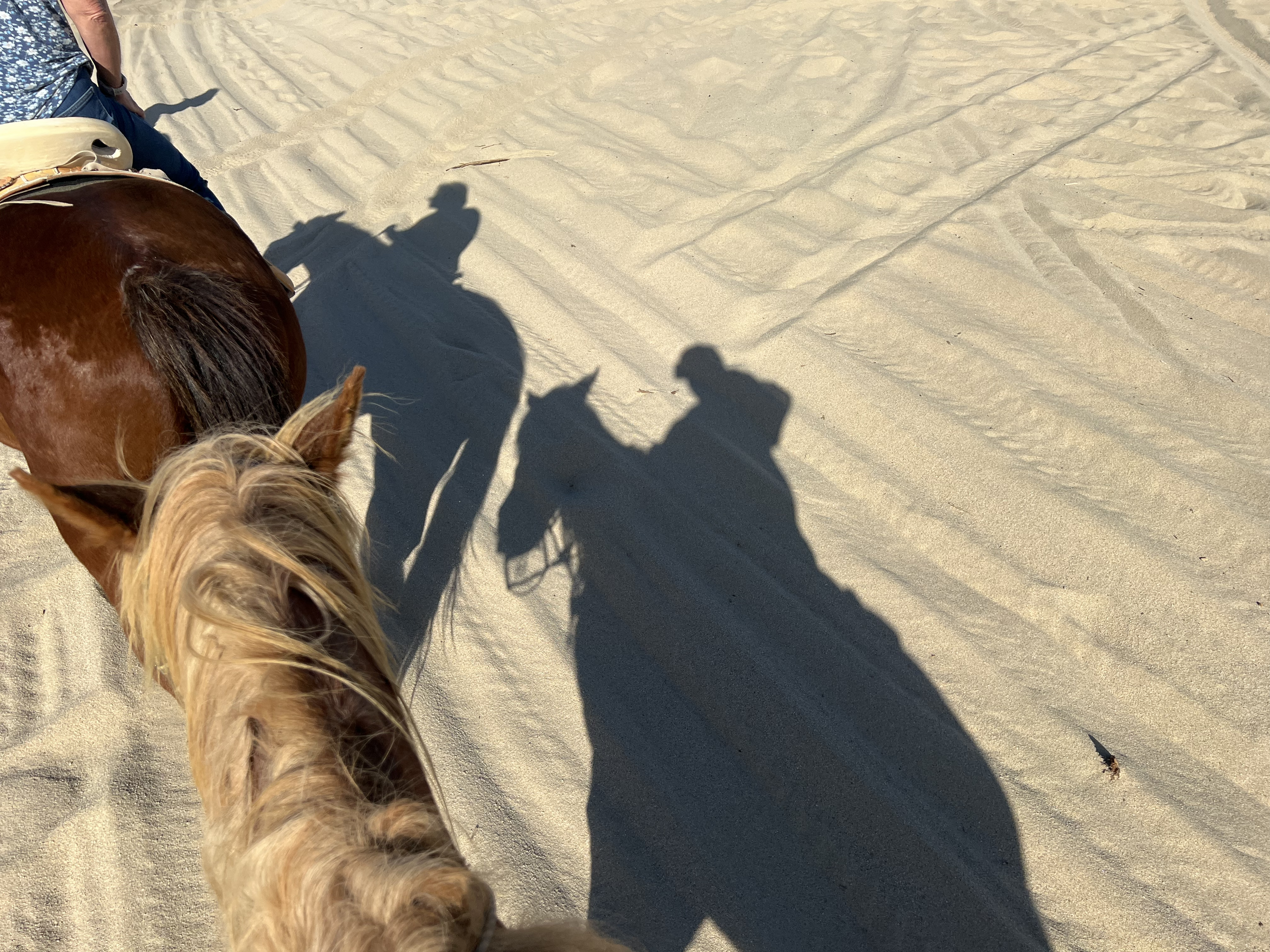 ./2024/13 - Cabo/IMG_4392.jpg